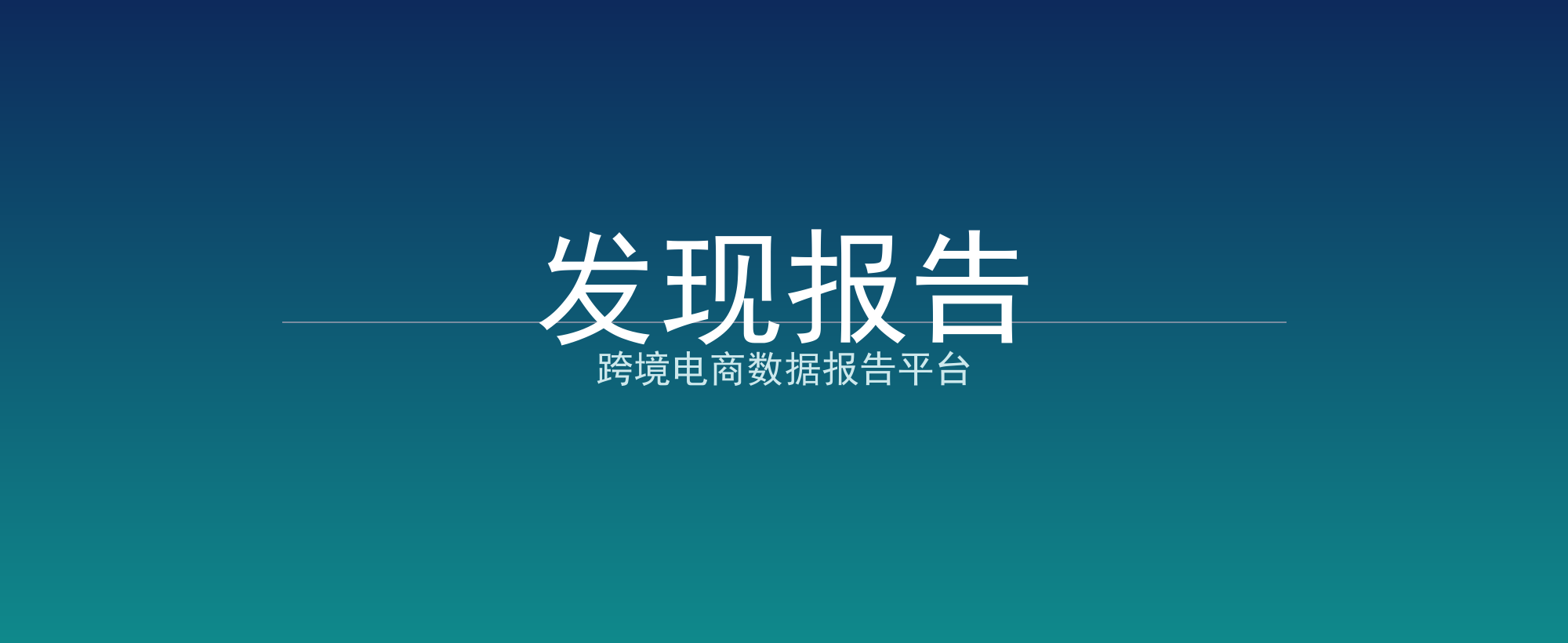 发现报告