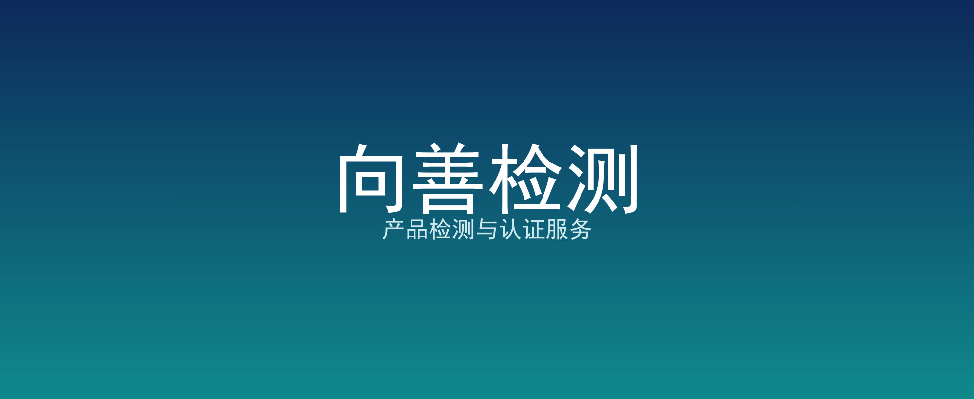 向善检测