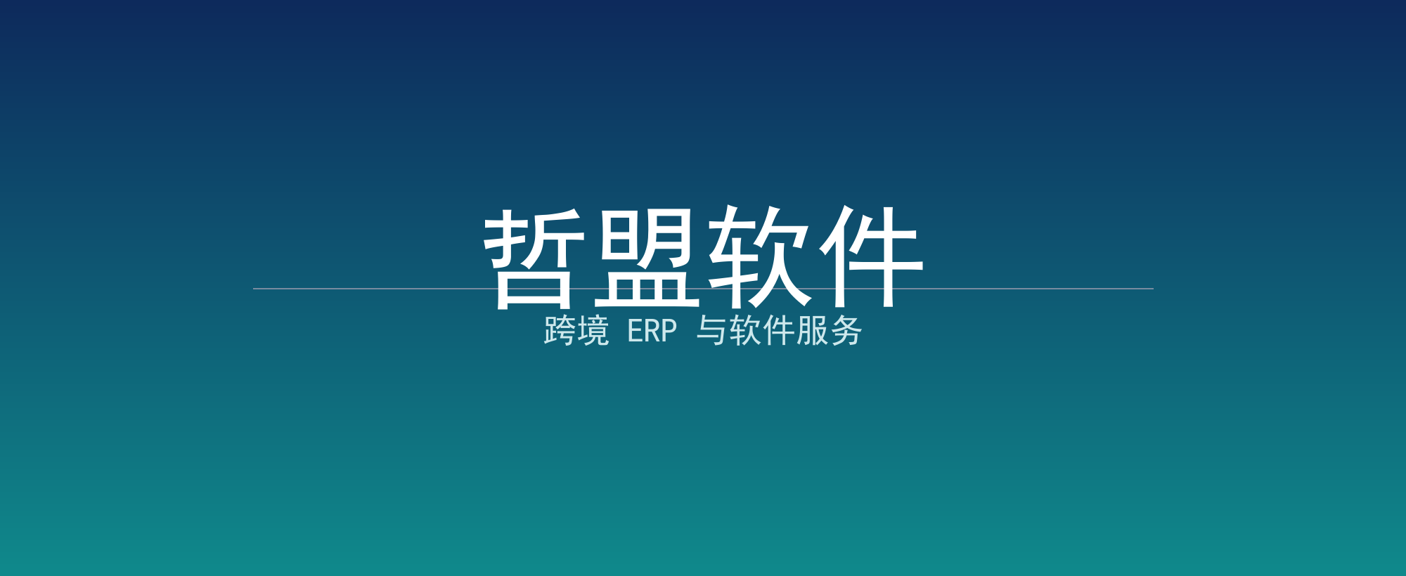 哲盟软件