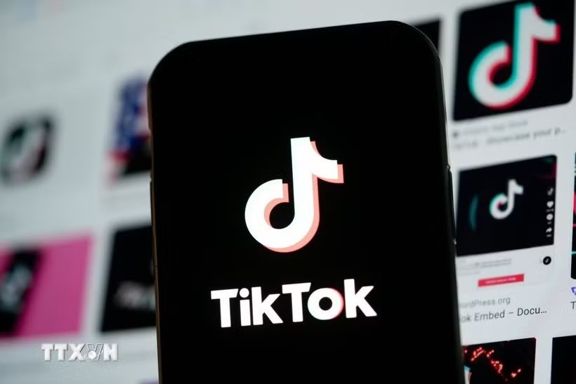 手机屏幕上的 TikTok 标志,越通社配图