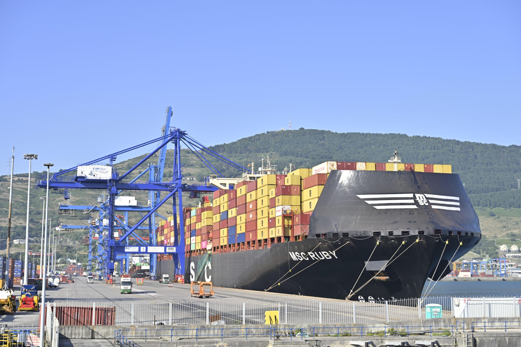 MSC Ruby轮停靠西班牙毕尔巴鄂港，船上满载各色集装箱靠岸作业