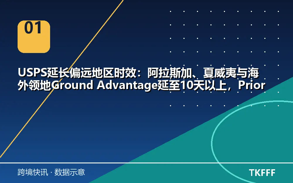核心数据一览