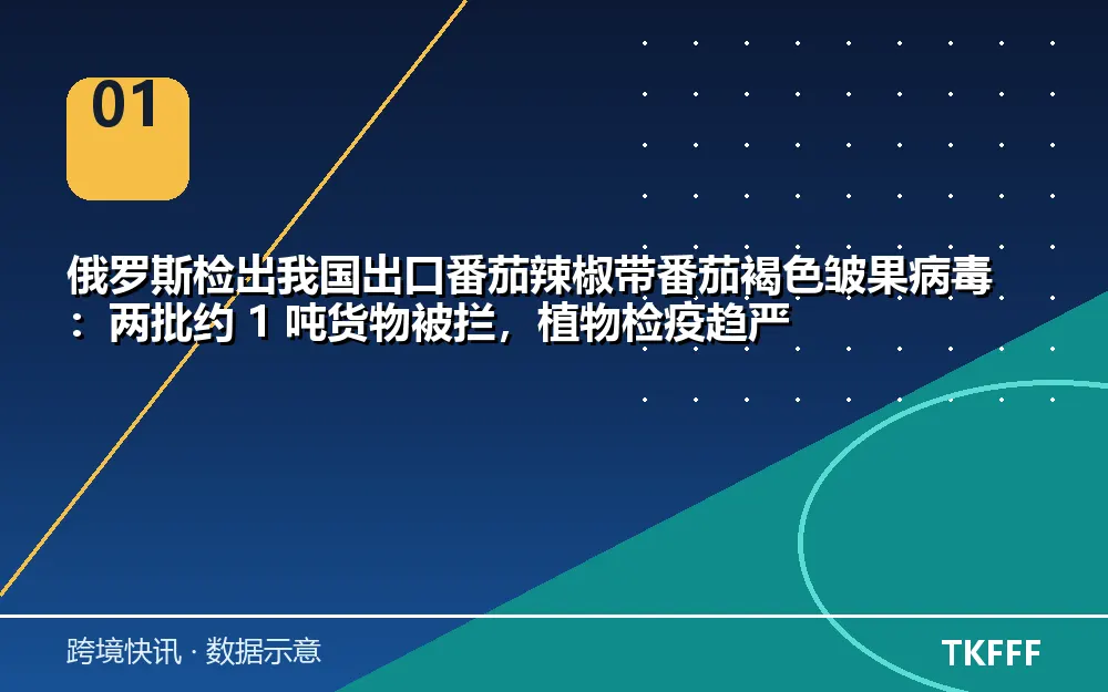 核心数据一览