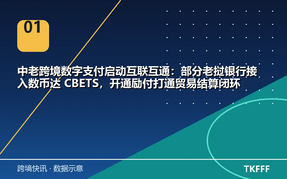核心数据一览