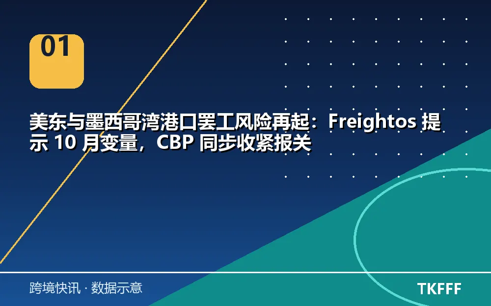 核心数据一览