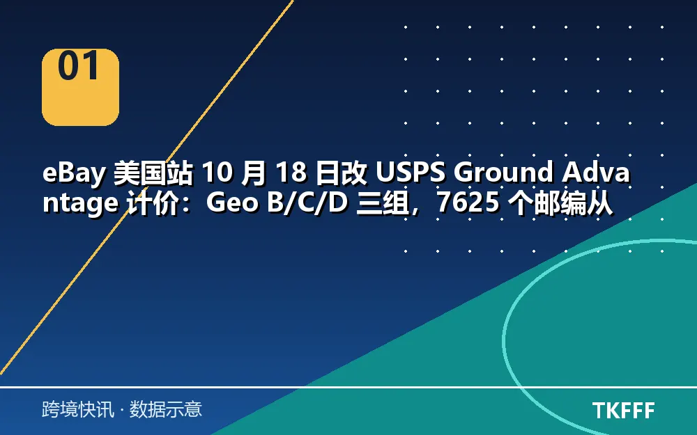 核心数据一览